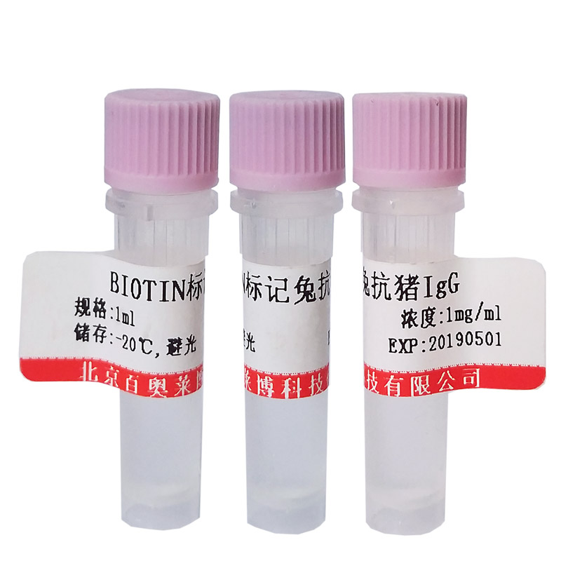 生物素标记兔抗猪IgG(H+L)抗体图片